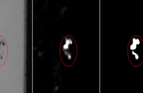 Appearance defect detection of LED LCD screen